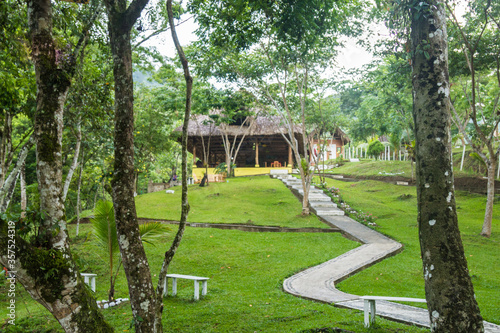 country house in the middle of a forest