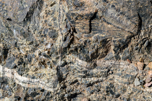Rock surface serpentinite with chrysotile asbestos for backdrop. Veins with long fiber asbestos. Mineral composition is serpentinite, chrysotile asbestos, magnetite, lizardite.