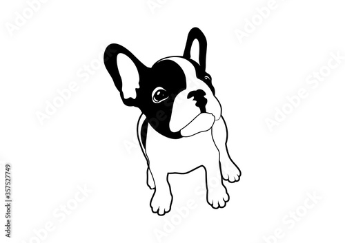 Cute French Bulldog Looking for some Foods Black & White Logo Vector