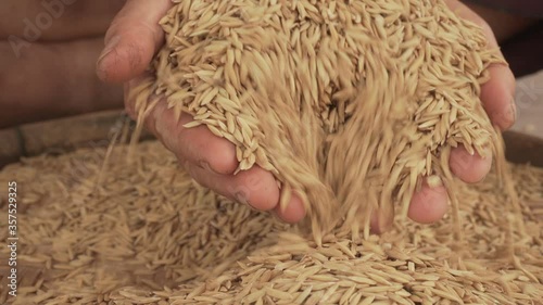 The old woman used the hand to pick up the rice.
