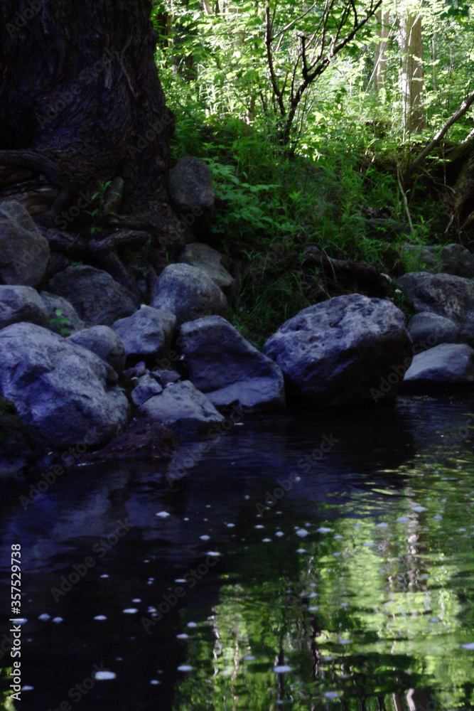 reflection of the forest in the water reflection of the forest in the water