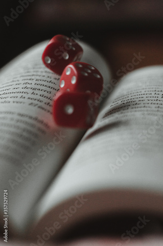Dices on a book