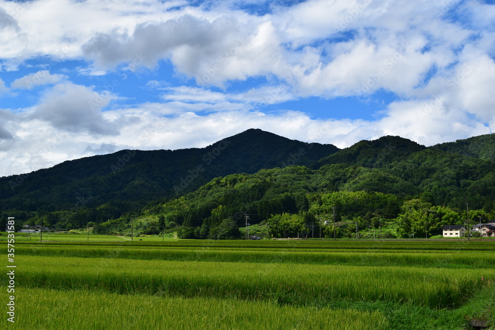 金峯山（きんぼうざん）／ 山形県の庄内海浜県立自然公園内にあり、国指定名勝・国指定文化財に指定されている金峯山は、標高459mです。山頂からの景観は、鶴岡市内を見下ろすことができ絶景です。
