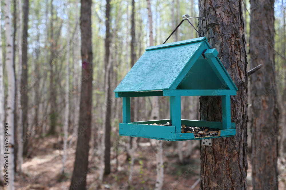 Handmade bird feeder in the forest