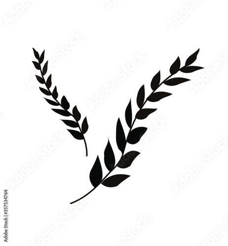 leaves