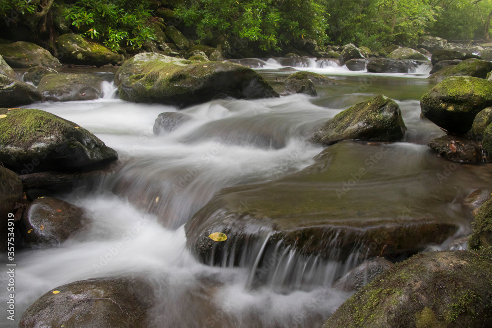 Fototapeta premium Mountain Stream