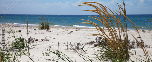 Fototapeta Naklejka Na Ścianę i Meble -  Blue sky, sea and sand with grass on deserted beach at summer