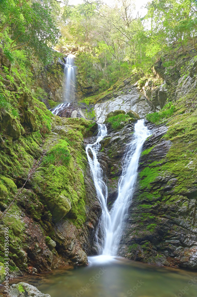 雨乞の滝（あまごいのたき）は、徳島県名西郡神山町にある滝。日本の滝百選、四国のみずべ八十八カ所、とくしま88景、とくしま水紀行50選に選定されている。