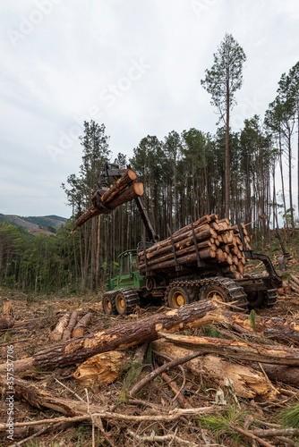 swing arm log loader truck on woods pine forest