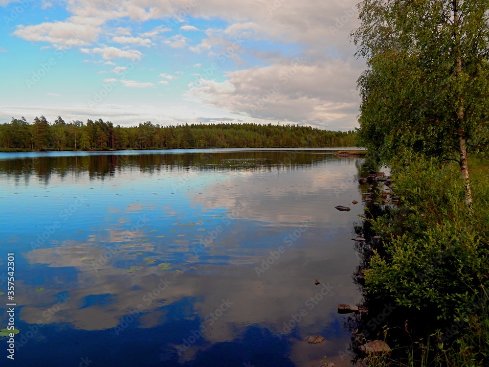 Obraz premium reflection of trees and clouds in water