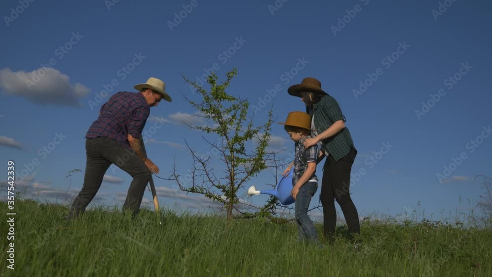 Teamwork. A happy family of father, mother and son plants a green young tree on a Sunny summer day in their garden. Teamwork. A happy family of father, mother and son plants a green young tree on a Sunny summer day in their garden.