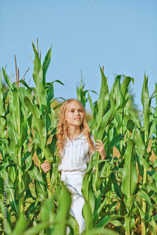Close-up portrait of young blonde girl in corn field on summer sunny day. Pretty long-haired blonde girl posing on nature background. Summer vacation in countryside. Close-up portrait of young blonde girl in corn field on summer sunny day. Pretty long-haired blonde girl posing on nature background. Summer vacation in countryside.