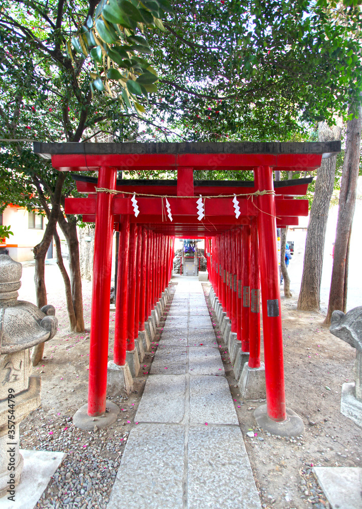 Red or vermilion torii gates at the Hanazono Jinja shrine, Shinjuku, Tokyo, Japan. Red or vermilion torii gates at the Hanazono Jinja shrine, Shinjuku, Tokyo, Japan.