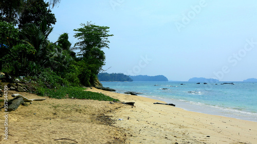 tropical beach and palm trees