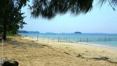 tropical beach with palm trees
