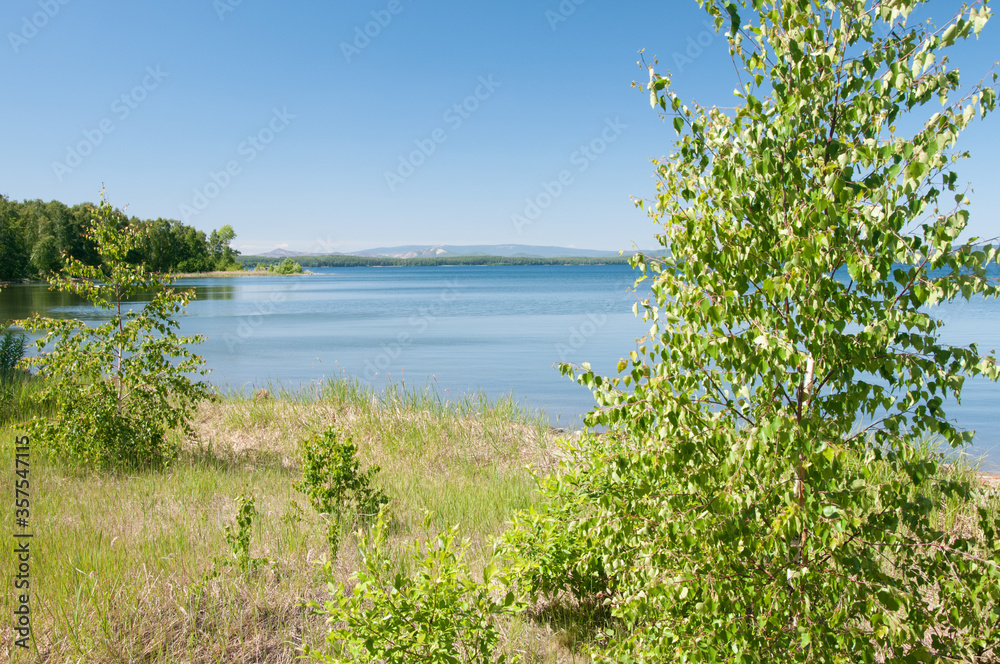 Uvildy lake in summer with green birch trees on its shore, Chelyabinsk region, Russia