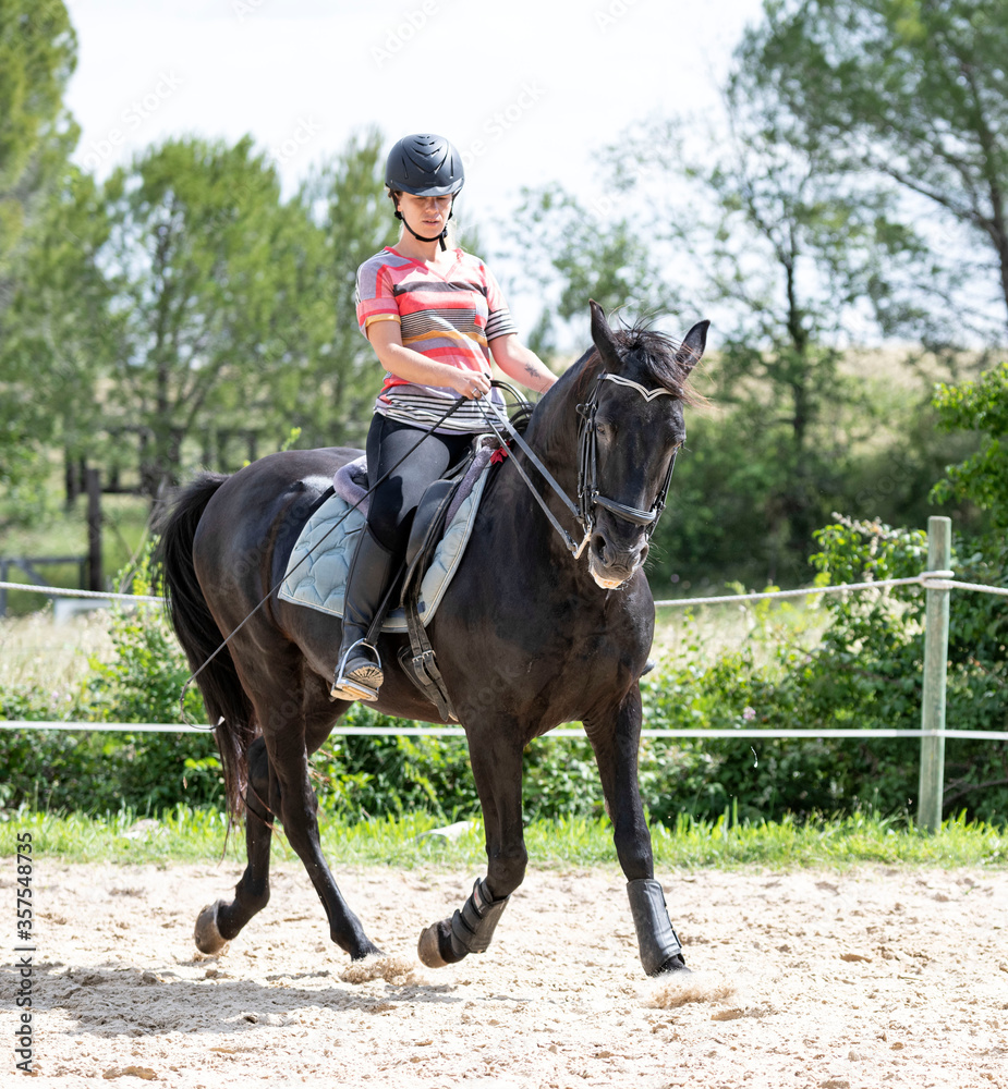 riding girl and horse