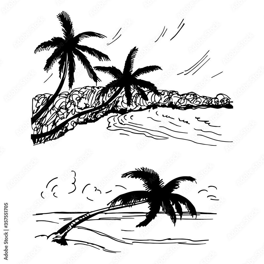 Hand drawn landscapes with palm trees. Vector sketch  illustration.