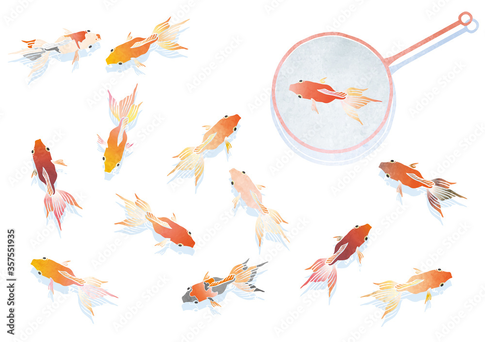 いろんな模様の泳ぐ金魚と金魚すくいのベクターイラスト 水彩 Vector De Stock Adobe Stock