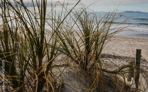 Sand Dunes on beautiful beach in summer