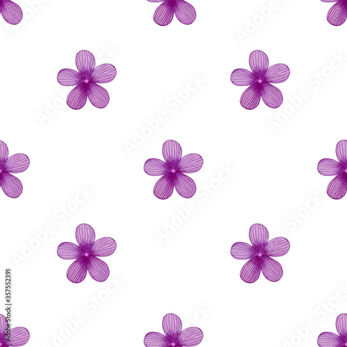 Watercolor seamless pattern of decorative violet flowers on a white background.