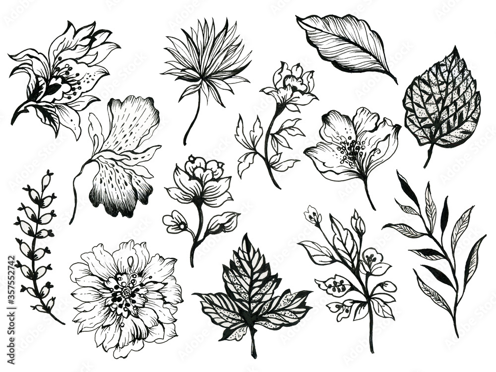 Black and White outline elements Floral plants on white Design for home decor, fabric, carpet, wrapping, card