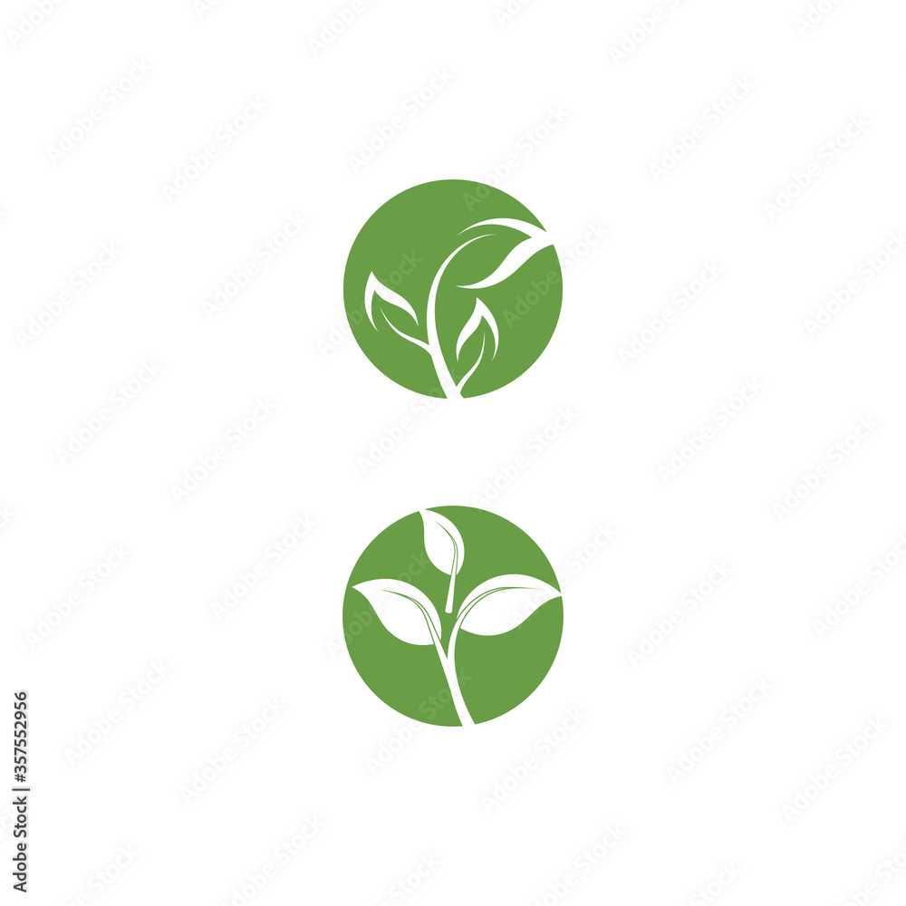 Leaf Logo Template vector symbol Leaf Logo Template vector symbol