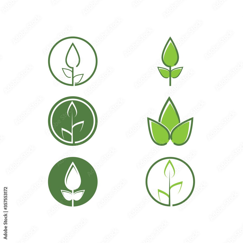 Set Leaf Logo Template vector