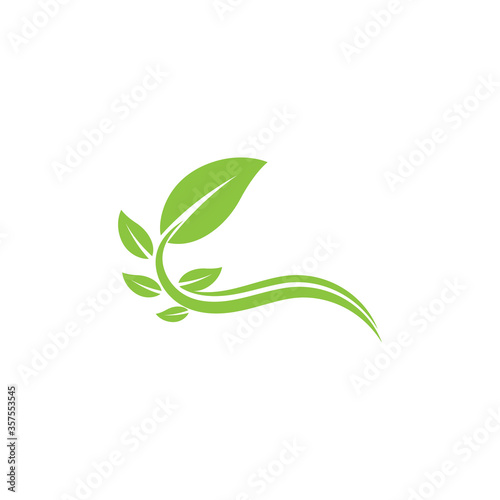 Leaf Logo Template vector symbol