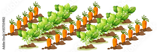Little carrots in field farm isolated in cartoon style