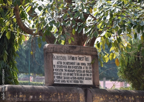 Mahabodhi temple complex in bodh gaya bihar india buddhist pilgrim site