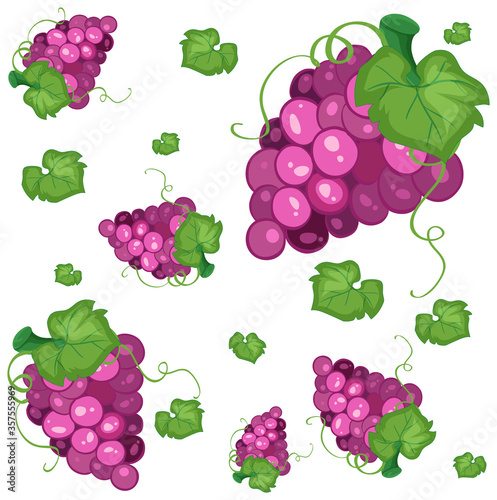 Fototapeta Naklejka Na Ścianę i Meble -  Seamless background design with purple grapes