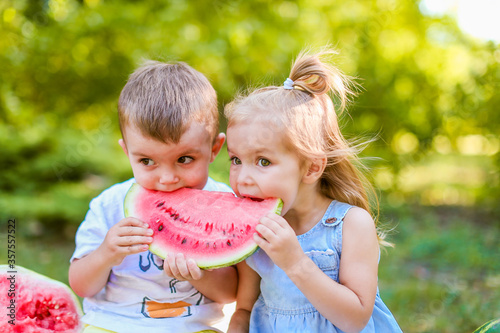 Two kids eating one slice of watermelon in the garden. Kids eat fruit outdoors. Healthy snack for children. 2 years old girl and boy enjoying watermelon.