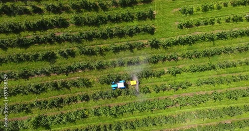The tractor sprays apple orchards