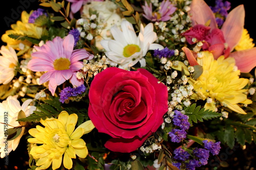 beautiful multicolored flowers on a black background