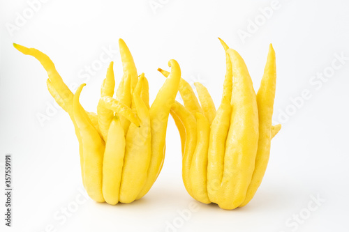 Buddha's hand fruit on white background
