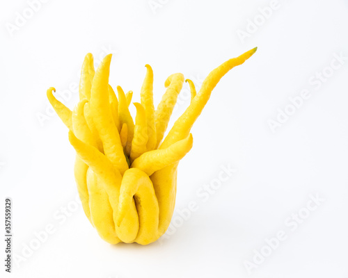 Buddha's hand fruit on white background