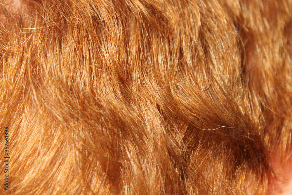 Naklejka premium Chevelure rousse