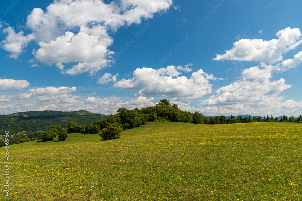 mountain scenery with meadow, trees, hills covered by forest and blue sky with clouds near Lutisce village in Slovakia mountain scenery with meadow, trees, hills covered by forest and blue sky with clouds near Lutisce village in Slovakia