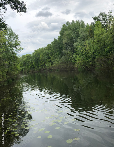 reflection of trees in water