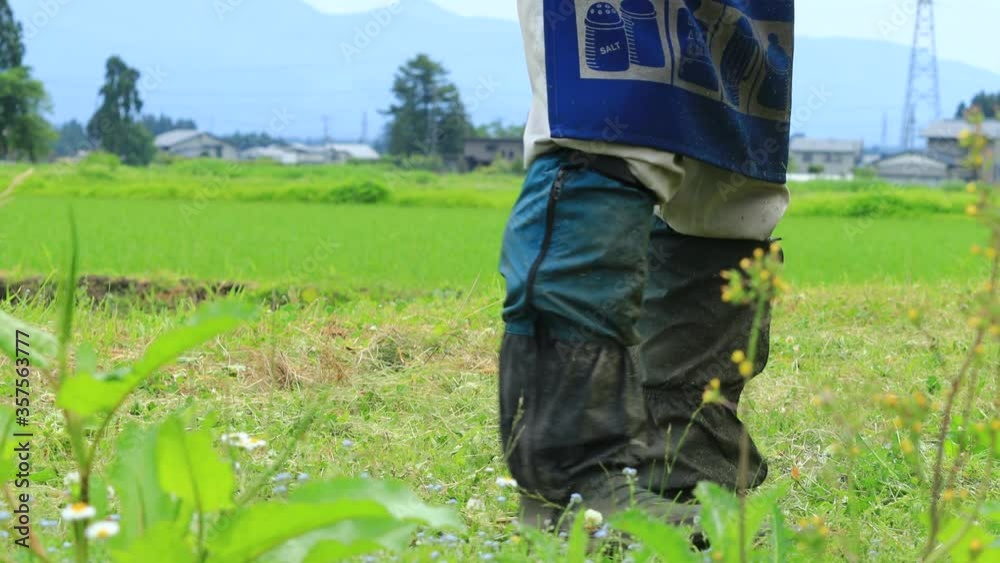 草刈り作業をする男性 雑草 刈払い機 草刈り作業をする男性 雑草 刈払い機