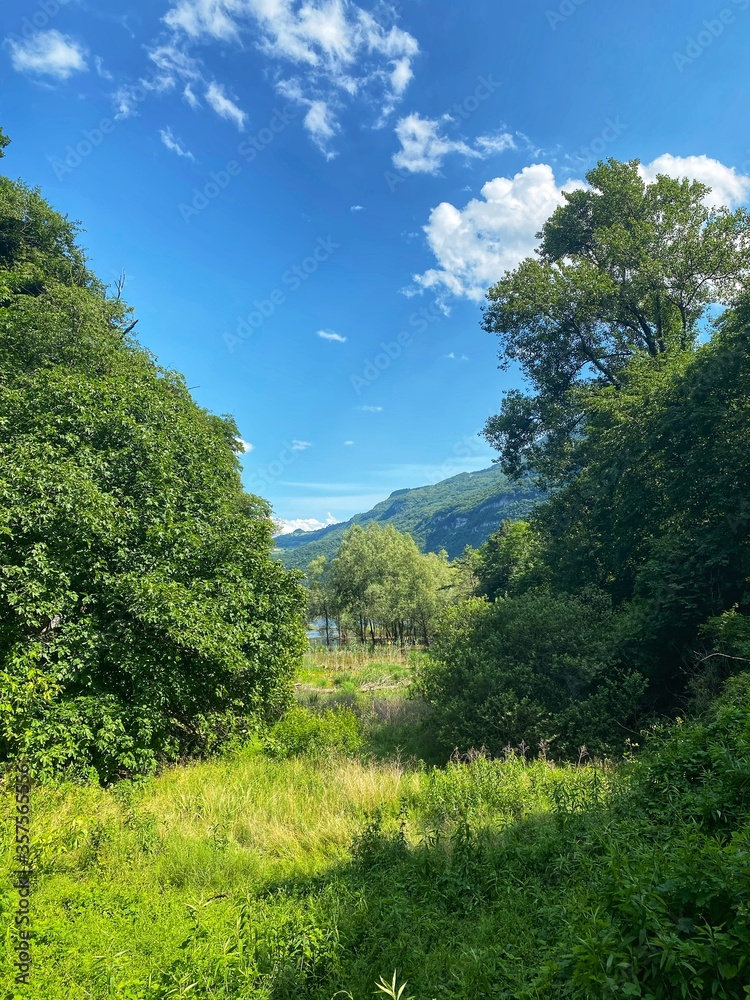 Obraz premium summer landscape with blue sky and clouds