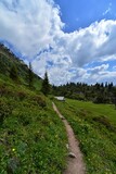 Hiking trail in the mountains of Glarus through green meadows with firs and steel in the picture in sunny weather in Switzerland