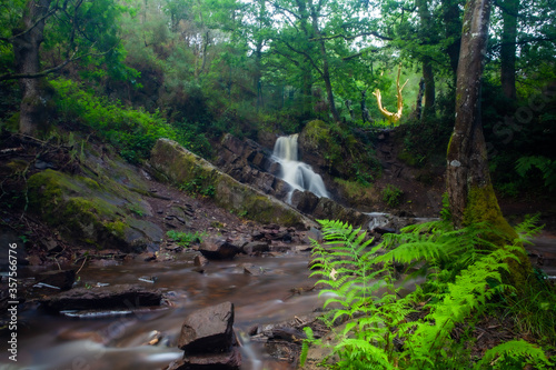 Point de vue au pied de la cascade de l'arbre d'Or dans la forêt de Brocéliande