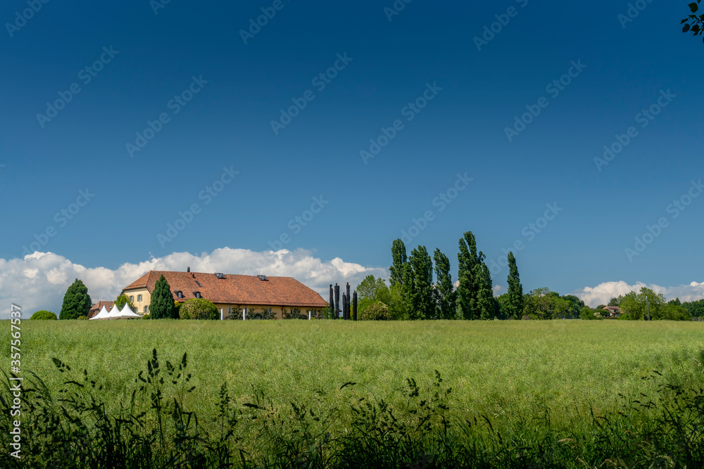 Ferme de campagne et champ sur fond de ciel bleu avec quelques nuages