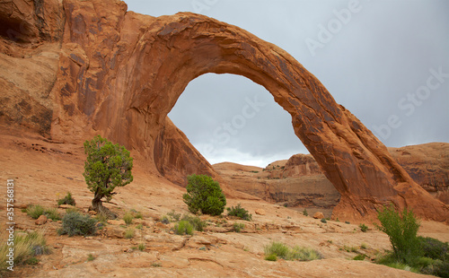 Corona Arch - Utah