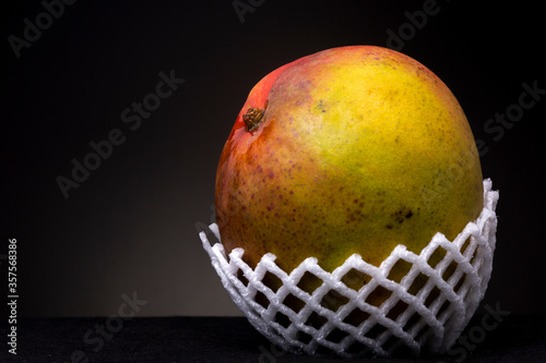 Tropical red yellow orange ripe Mango fruit in white protective fluffy foam as not to bump and bruise. Studio low key food still life against a dark background photo