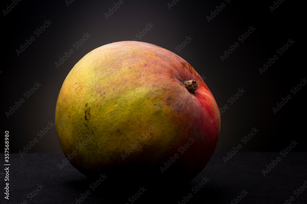 Spotlight on colourful tropical red yellow orange ripe Mango fruit. Studio low key food still life against a dark background