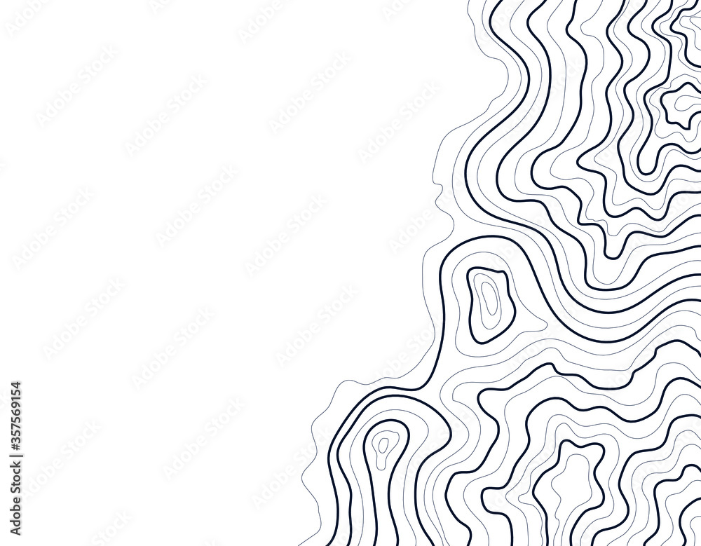 topographic map abstract height lines isolated on white background vector