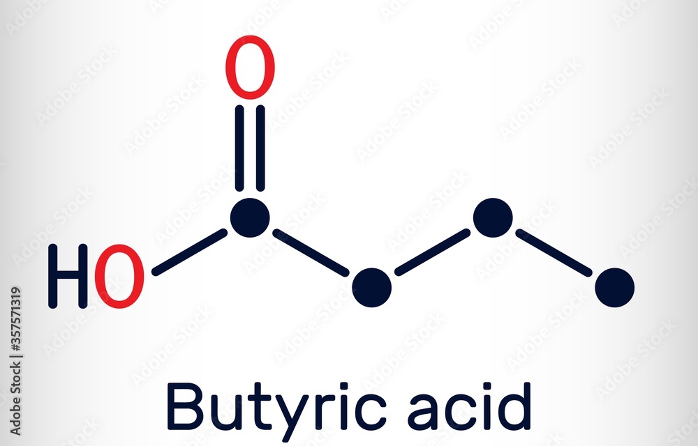 Butyric acid, butanoic acid molecule. Butyrates or butanoates are salts and esters . Skeletal chemical formula. Vector illustration Butyric acid, butanoic acid molecule. Butyrates or butanoates are salts and esters . Skeletal chemical formula. Vector illustration